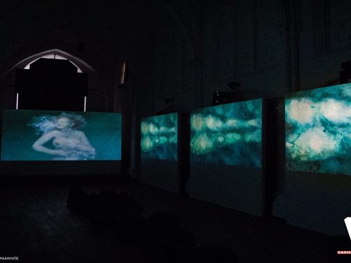 Immersion Virtuelle Martine Dessy