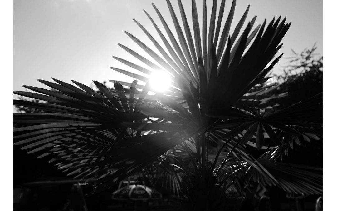 House Light Photography