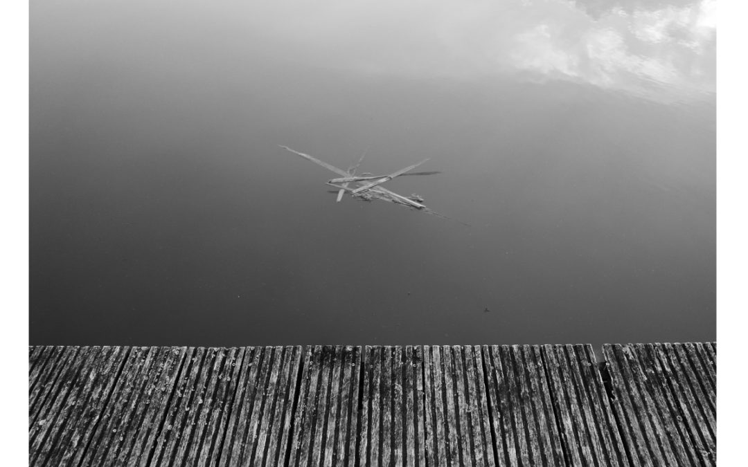 Les Nuits des Bassins Photography