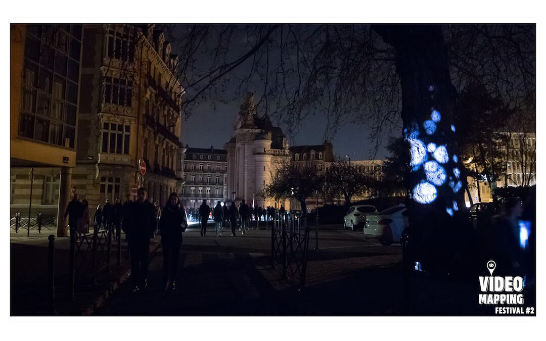 Arbre rue du Réduit de Lille – Mars 2019