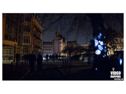 Arbre rue du Réduit de Lille – Mars 2019