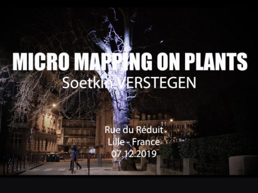 Micro Mapping Vegetal – Arbre rue du Réduit de Lille – Mars 2019