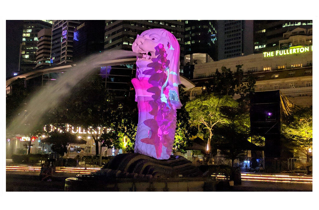 i Light Singapore 2019 – Janvier 2019