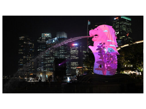 i Light Singapore 2019 – Janvier 2019
