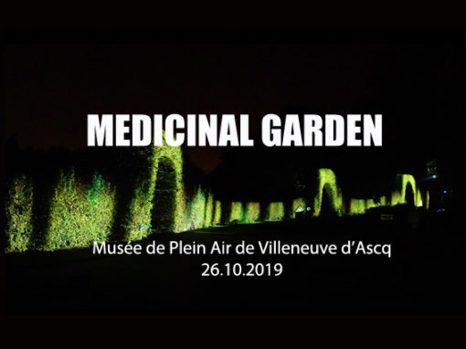 Mapping végétal – Musée plein Air de Villeneuve d’Ascq – Octobre 2019