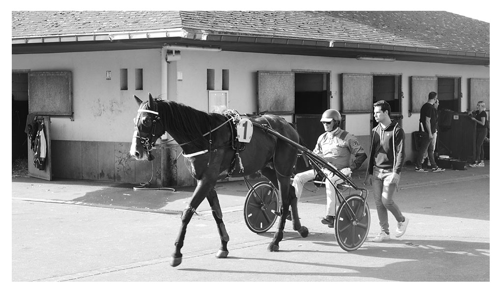 HIPPODROME CROISÉ LAROCHE