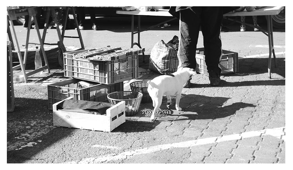MARCHÉ DE VOIRON